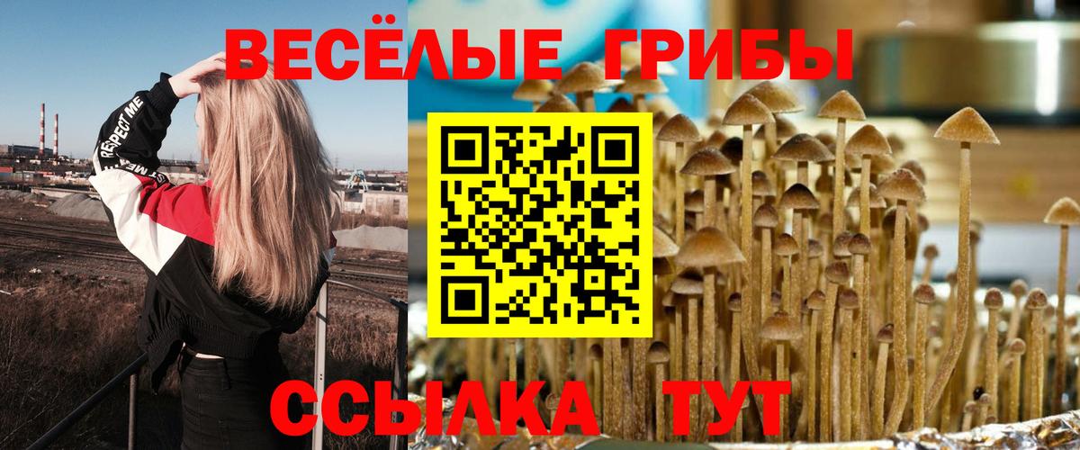 Псилоцибиновые грибы Magic Shrooms  Галлюциногенные грибы прущие грибы  что такое наркотик  Соль-Илецк  Вход с VPN 