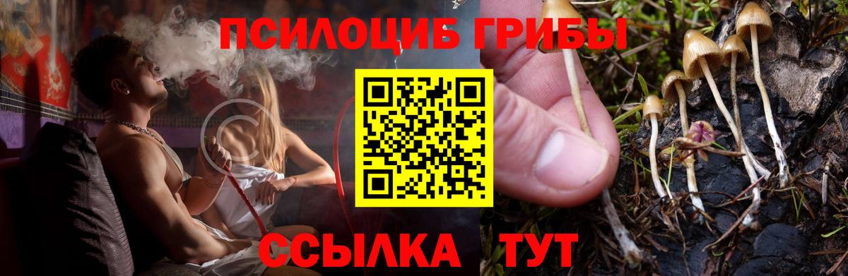 Псилоцибиновые грибы мухоморы Соль-Илецк